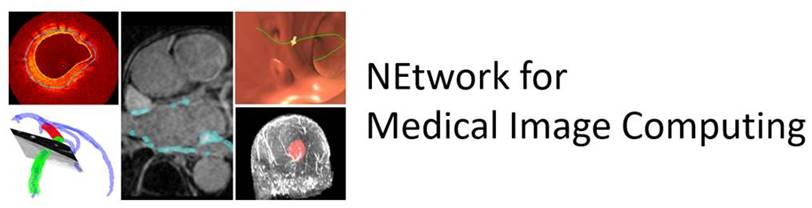 NEtwork for Medical Image Computing (NEMIC) initiative logo